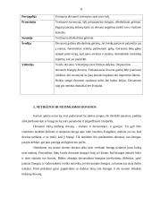 Dovanos bei suvenyrai 8 puslapis