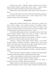 Etiketas ir elgesys prie stalo 8 puslapis