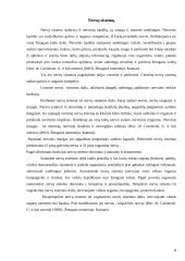 Fizinio aktyvumo poveikis nervų sistemai 8 puslapis