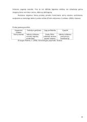 Fizinio aktyvumo poveikis nervų sistemai 10 puslapis