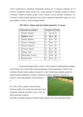 Futbolo klubas "Vėtra" 6 puslapis