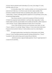 Futbolo klubas "Vėtra" 9 puslapis