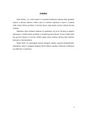 Įvairaus amžiaus žmonių fizinis ugdymas ir kūno kultūra 3 puslapis