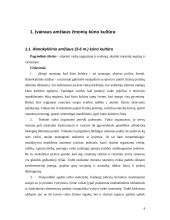 Įvairaus amžiaus žmonių fizinis ugdymas ir kūno kultūra 4 puslapis