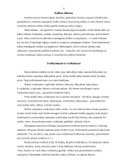 Lietuvių kalbos etiketas bei jo esmė 2 puslapis