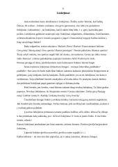 Lietuvių kalbos etiketas bei jo esmė 4 puslapis