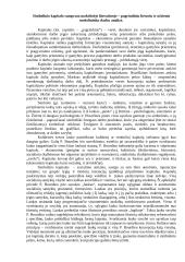 Kapitalas ekonomikoje 3 puslapis