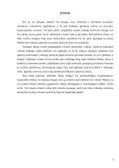 Koks turėtų būti idealus treneris ir koks buvo realus treneris 3 puslapis