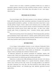 Koks turėtų būti idealus treneris ir koks buvo realus treneris 6 puslapis