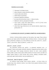 Moters apsirengimo etiketas 6 puslapis