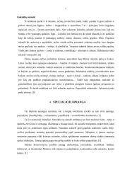 Moters apsirengimo etiketas 7 puslapis