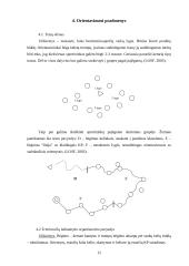 Orientacinio sporto įtaka vaikui 10 puslapis