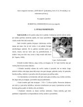 Pakvietimai ir svečių kortelės 8 puslapis