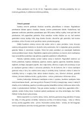 Pasaulio šalių maitinimosi ypatumai: Tailandas, Belgija, Armėnija 11 puslapis