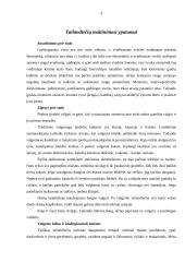 Pasaulio šalių maitinimosi ypatumai: Tailandas, Belgija, Armėnija 3 puslapis