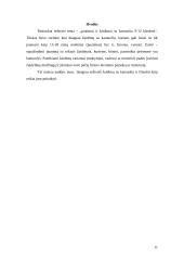 Pratimai ir žaidimai su kamuoliu 11 puslapis