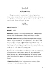 Pratimai ir žaidimai su kamuoliu 5 puslapis