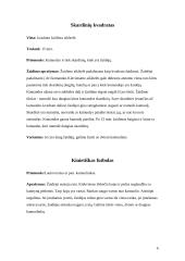 Pratimai ir žaidimai su kamuoliu 6 puslapis