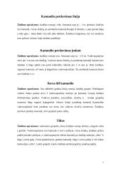 Pratimai ir žaidimai su kamuoliu 7 puslapis