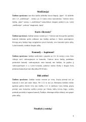 Pratimai ir žaidimai su kamuoliu 8 puslapis