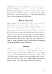 Pratimai ir žaidimai su kamuoliu 10 puslapis