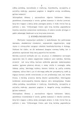 Protokolas ir etiketas skirtingose kultūrose 5 puslapis