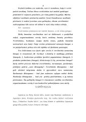 Protokolas ir etiketas skirtingose kultūrose 9 puslapis