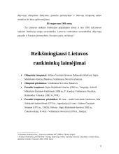 Rankinio sportas 6 puslapis