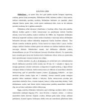 Slidinėjimas (15-50 km nuotoliai) 2 puslapis