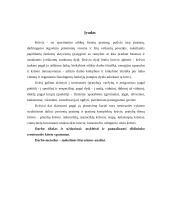 Slidininko treniruotės krūvio charakteristika 2 puslapis