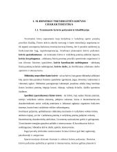 Slidininko treniruotės krūvio charakteristika 3 puslapis