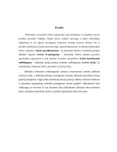 Slidininko treniruotės krūvio charakteristika 10 puslapis