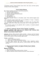 Sveikos gyvensenos komponentai ir fizinio aktyvumo normos 2 puslapis