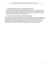 Sveikos gyvensenos komponentai ir fizinio aktyvumo normos 8 puslapis