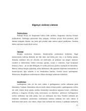 Tarptautinis protokolas ir etiketas Kinijoje 12 puslapis