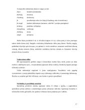 Tarptautinis protokolas ir etiketas Kinijoje 17 puslapis