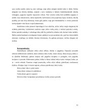 Tarptautinis protokolas ir etiketas Kinijoje 19 puslapis