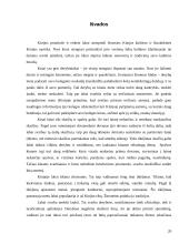 Tarptautinis protokolas ir etiketas Kinijoje 20 puslapis