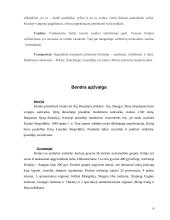 Tarptautinis protokolas ir etiketas Kinijoje 6 puslapis