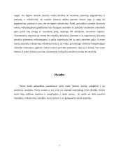 Teisės normos samprata 7 puslapis