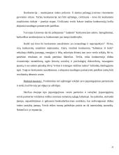 Verslo etikos projektinis darbas 19 puslapis