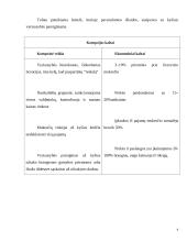 Verslo etikos projektinis darbas 7 puslapis