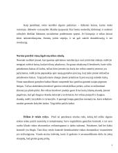 Verslo etikos projektinis darbas 8 puslapis