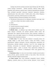 Oficialūs ir neoficialūs vizitai