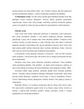 Oficialūs ir neoficialūs vizitai 2 puslapis