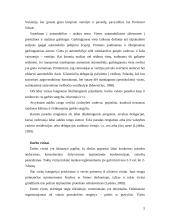 Oficialūs ir neoficialūs vizitai 5 puslapis