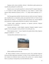 Alaus gamybos technologijos 19 puslapis