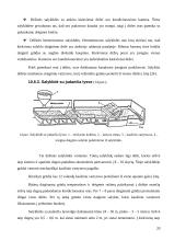 Alaus gamybos technologijos 20 puslapis