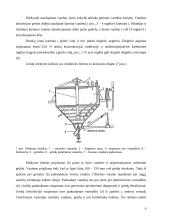 Alaus gamybos technologijos 6 puslapis