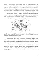 Alaus gamybos technologijos 7 puslapis